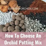 How To Choose The Best Orchid Potting Mix - Everyday Orchids