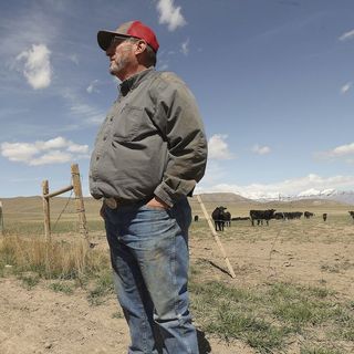 A conservation success story: Protecting Utah farmland, wildlife and Camp Williams