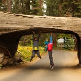 9 U.S. National Parks Kids Should See Before They Grow Up | Family Vacation Critic
