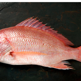 Best Snapper Substitute: Expert Recommendations for Fish Alternatives - Fanatically Food