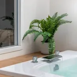 best ferns for the bathroom | Fern Gardening