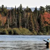 Walmart Fishing License New Hampshire - fishinglicenselocator.com