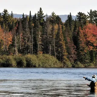 Walmart Fishing License New Hampshire - fishinglicenselocator.com