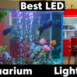 Best LED Aquarium Lighting for Plants or Corals (2023 Reviews)