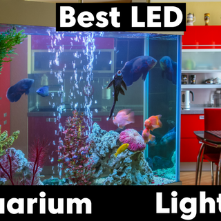 Best LED Aquarium Lighting for Plants or Corals (2023 Reviews)