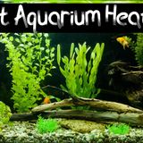 Best Aquarium Heaters 2023 - Reviews & Buyer's Guide