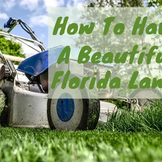 How to Have a Beautiful Florida Lawn