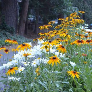 Why Fall is the Best Time to Garden