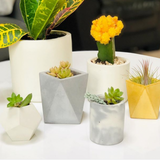 DIY Flower Pots | Flowersandflowerthings