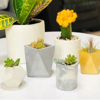 DIY Flower Pots | Flowersandflowerthings