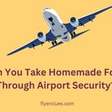 Can You Take Homemade Food Through Airport Security- General Tips And TSA Rules