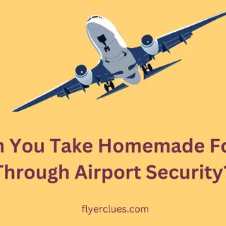 Can You Take Homemade Food Through Airport Security- General Tips And TSA Rules