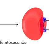 First direct look at how light excites electrons to kick off a chemical reaction