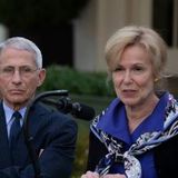 MUST READ: 15 Questions for Dr. Fauci and Dr. Birx Before They Completely Annihilate the US Economy