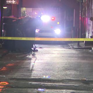 Man found with 'nonsurvivable' shot to the head in Chinatown alley: police