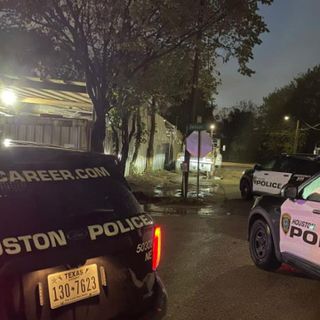 Houston shooting: Man shot by security officer after trying to spray paint security K-9 dog