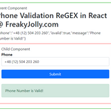 Phone (Mobile) Validation Using ReGex in React Js - StackBlitz Example « Freaky Jolly