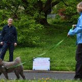 This man posts a daily ‘bad dad joke’ in his front yard. People groan, but they love it.