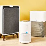 Best Air Purifiers for Mold & Allergies