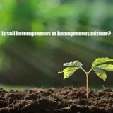 Is soil heterogeneous or homogeneous mixture? An Overview of Soil Characteristics  Is soil heterogeneous or homogeneous mixture? An Overview of Soil Characteristics 