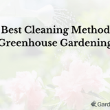 The Best Cleaning Methods for Greenhouse Gardening