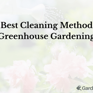 The Best Cleaning Methods for Greenhouse Gardening