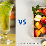 Pickle Juice Vs. Apple Cider Vinegar: Unraveling the Health Benefits Showdown