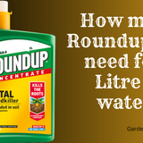 How much Roundup do I need for 1 Litre of water?