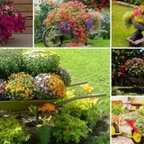 33 Wheelbarrow Planter Ideas for Your Garden - Garden Lovers Club