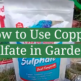 4 Steps to Use Copper Sulfate in Garden - GardenProfy