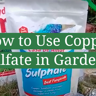 4 Steps to Use Copper Sulfate in Garden - GardenProfy