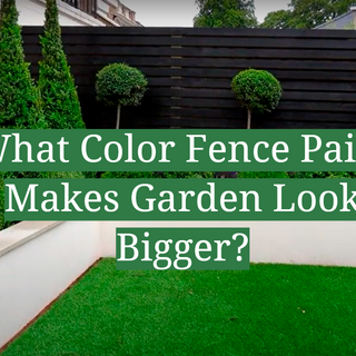 What Color Fence Paint Makes Garden Look Bigger? - GardenProfy