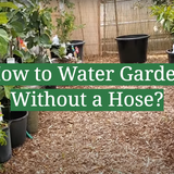 How to Water Garden Without a Hose? - GardenProfy