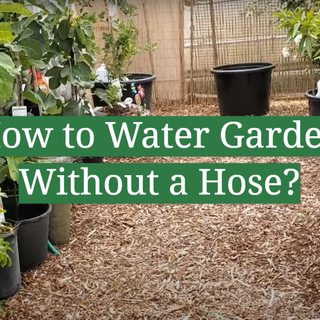 How to Water Garden Without a Hose? - GardenProfy