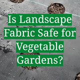 Is Landscape Fabric Safe for Vegetable Gardens? - GardenProfy