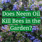 Does Neem Oil Kill Bees in the Garden? - GardenProfy