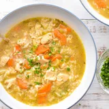 Low FODMAP Instant Pot Chicken and Rice Soup (Gluten-Free, Dairy-Free) - Good Noms, Honey!