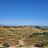 Where to Go Wine Tasting in Paso Robles, California