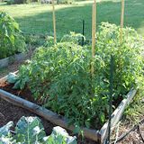 Best Materials for Raised Beds in Your Garden - Growing The Home Garden