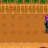 Stardew Valley Rancher or Tiller | Which Is Best? – Guide Fall