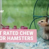 10 best chew toys for hamsters | Keep your hamster entertained