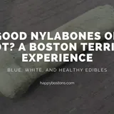 Nylabone Blue vs. Edible vs. White - Boston Terrier Experience - Happy Bostons