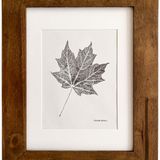 DIY Wall Art For Fall: Black & White Leaf Printing