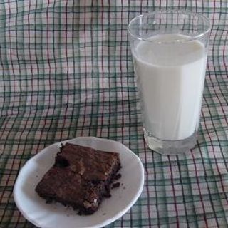 Healthy Treat for Today: Chocolate Chip Brownies | Heavenly Homemakers