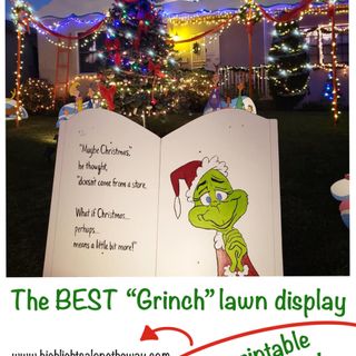 The BEST DIY Grinch and Whoville Christmas Lawn Decorations