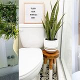 17 Brilliant Ways On How To Put Plants In Bathroom - HomelySmart