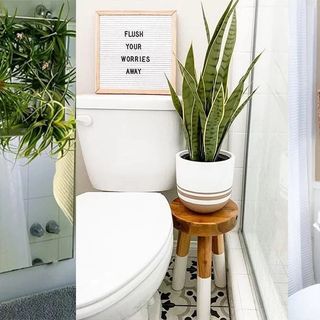 17 Brilliant Ways On How To Put Plants In Bathroom - HomelySmart