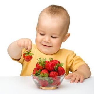 Baby Led Weaning - Your Questions Answered