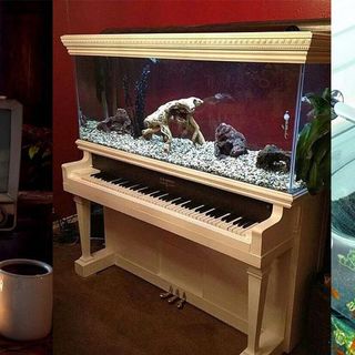 11 Unbelievable Home Aquarium Setup That Will Make Your Jaw Drop - HomelySmart