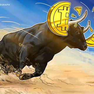 Why I Am Cynically Bullish About the Bitcoin Halving